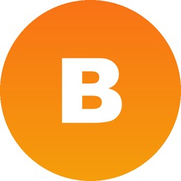 Web Developer
